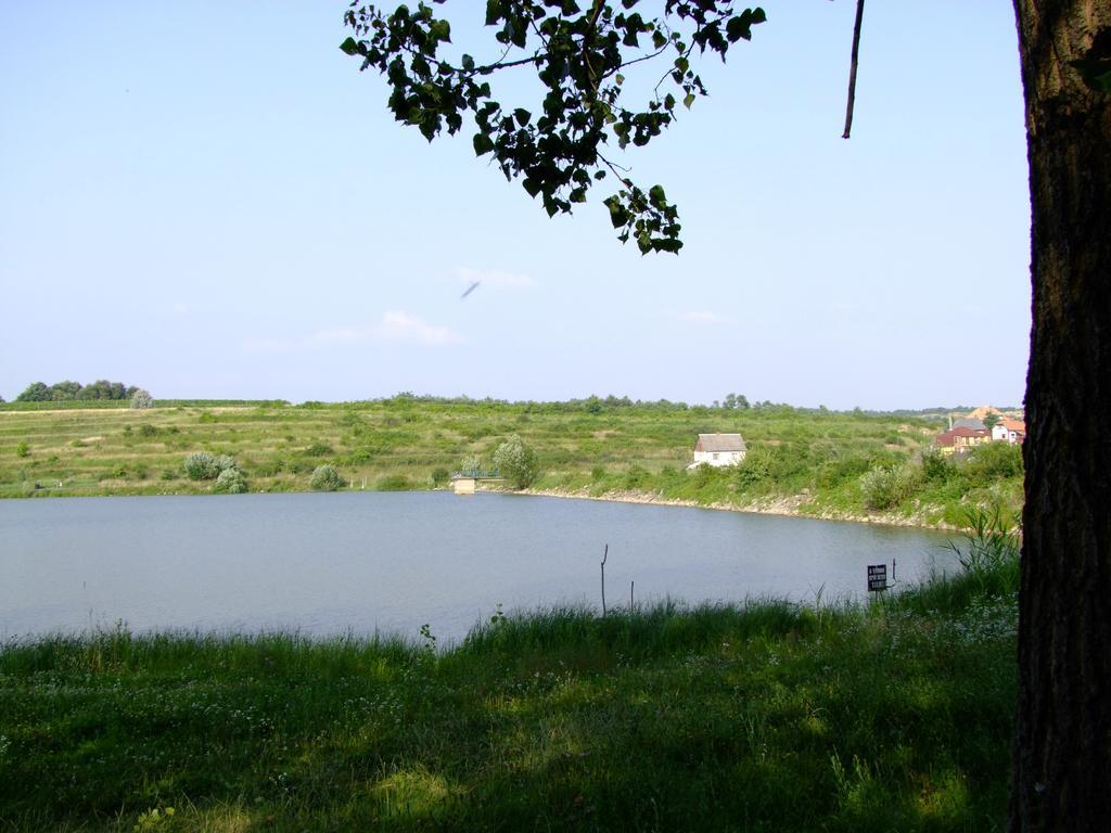 Villa Rajna Vendeghaz Bogács Exterior foto